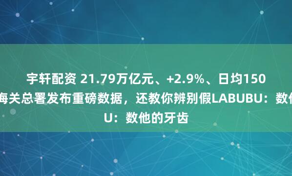 宇轩配资 21.79万亿元、+2.9%、日均150亿……海关总署发布重磅数据，还教你辨别假LABUBU：数他的牙齿